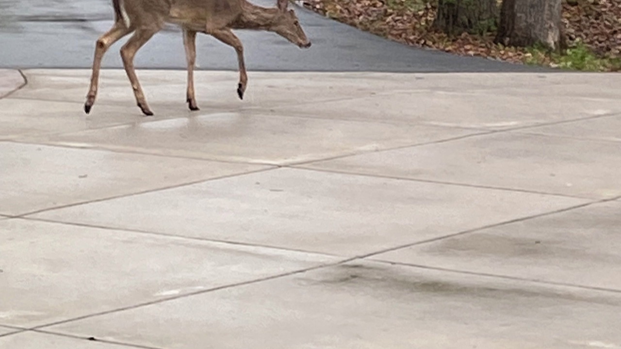 Photo of Outdoor in Burlington