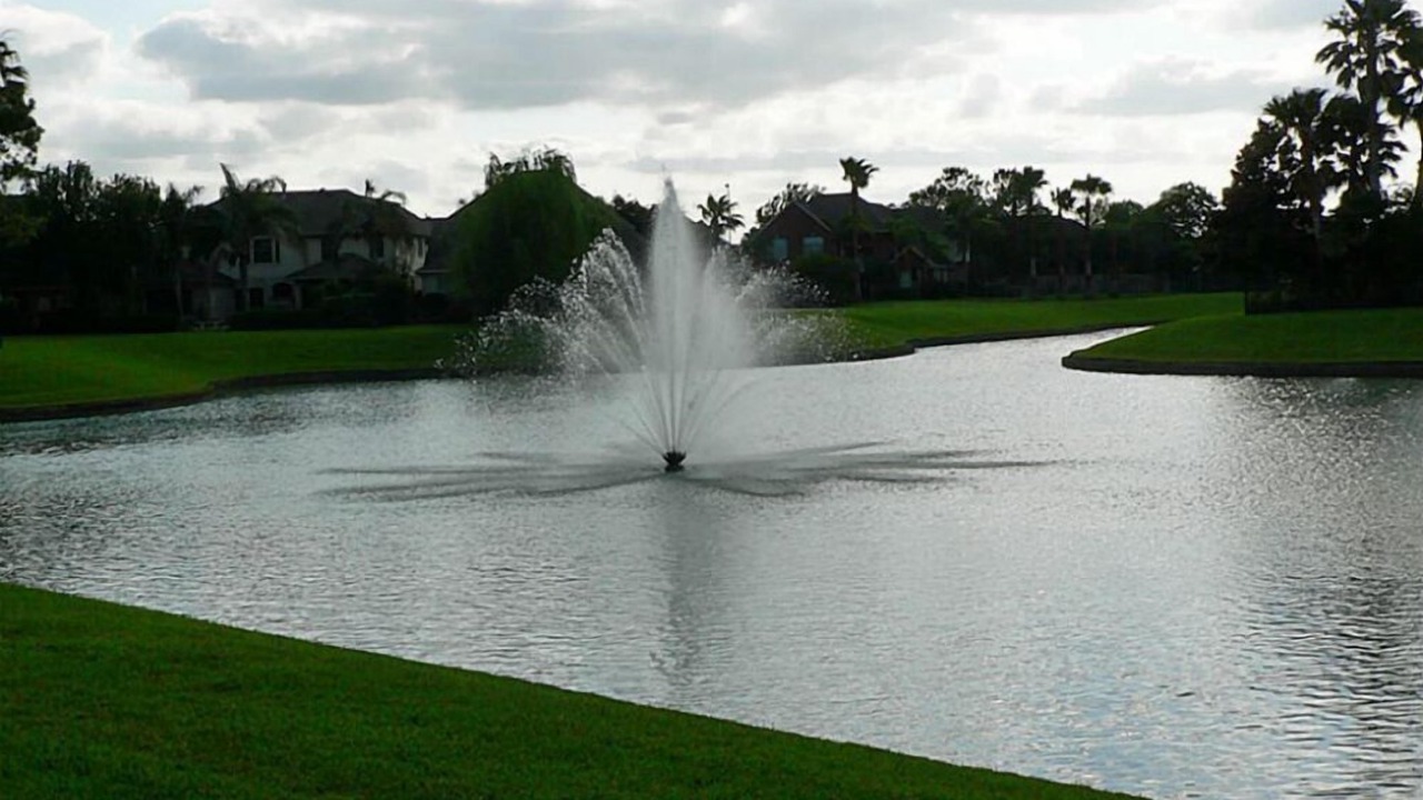 Photo of Others in Pearland