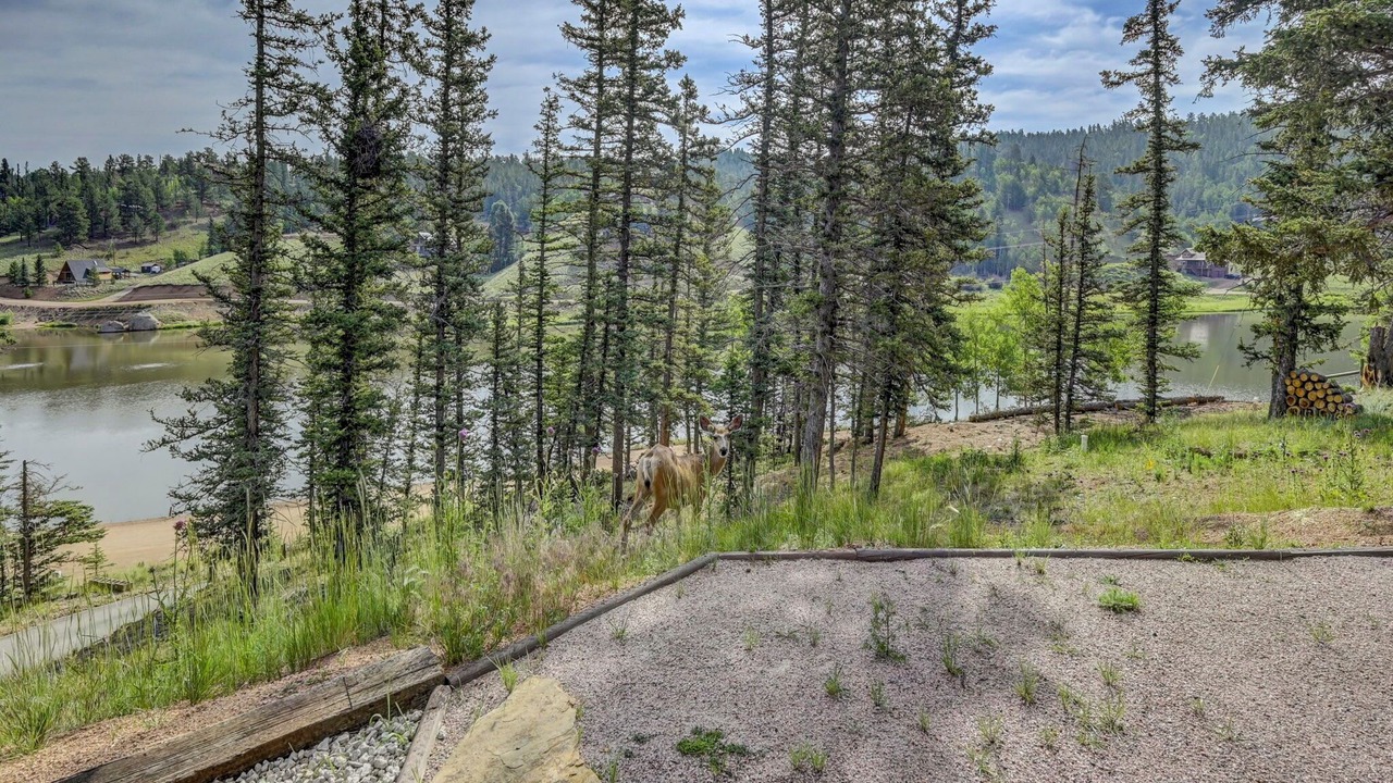Photo of Outdoor in Spring Valley