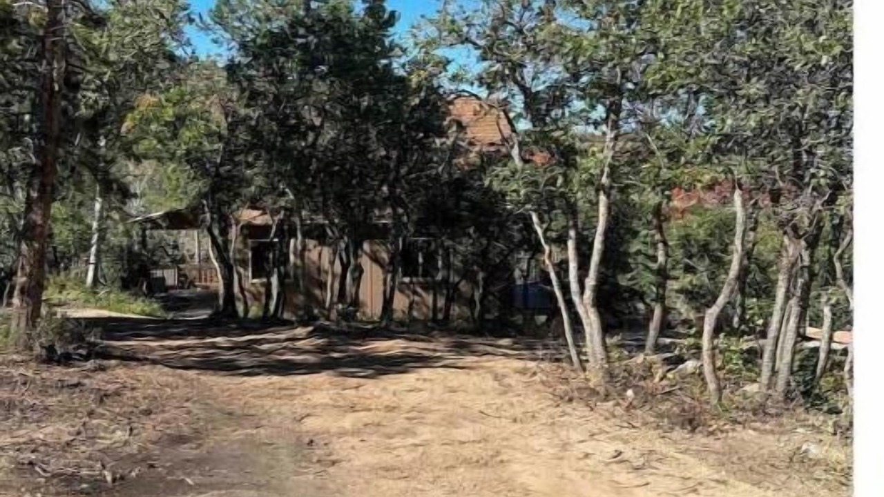 Photo of Outdoor in Timber Lakes