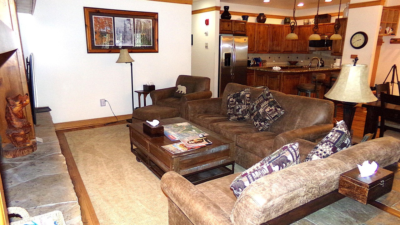 Photo of Livingroom in Mountain House