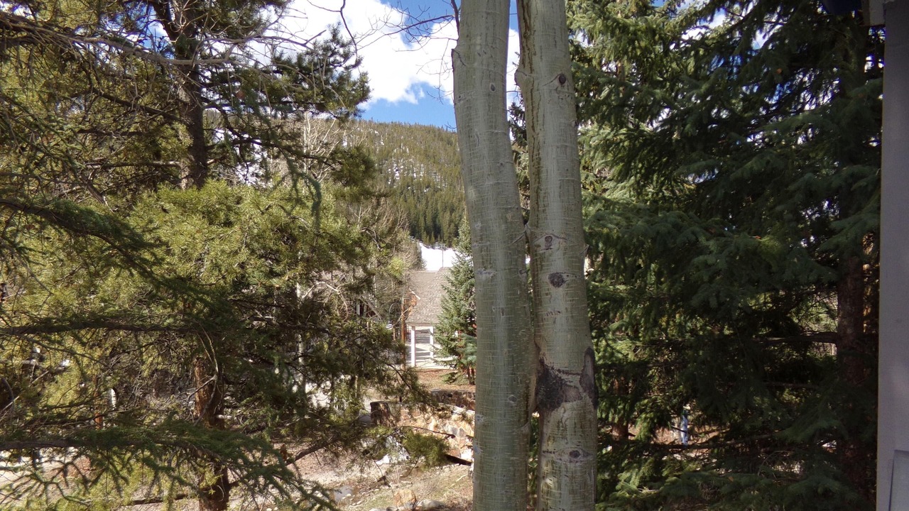 Photo of Others in Mountain House