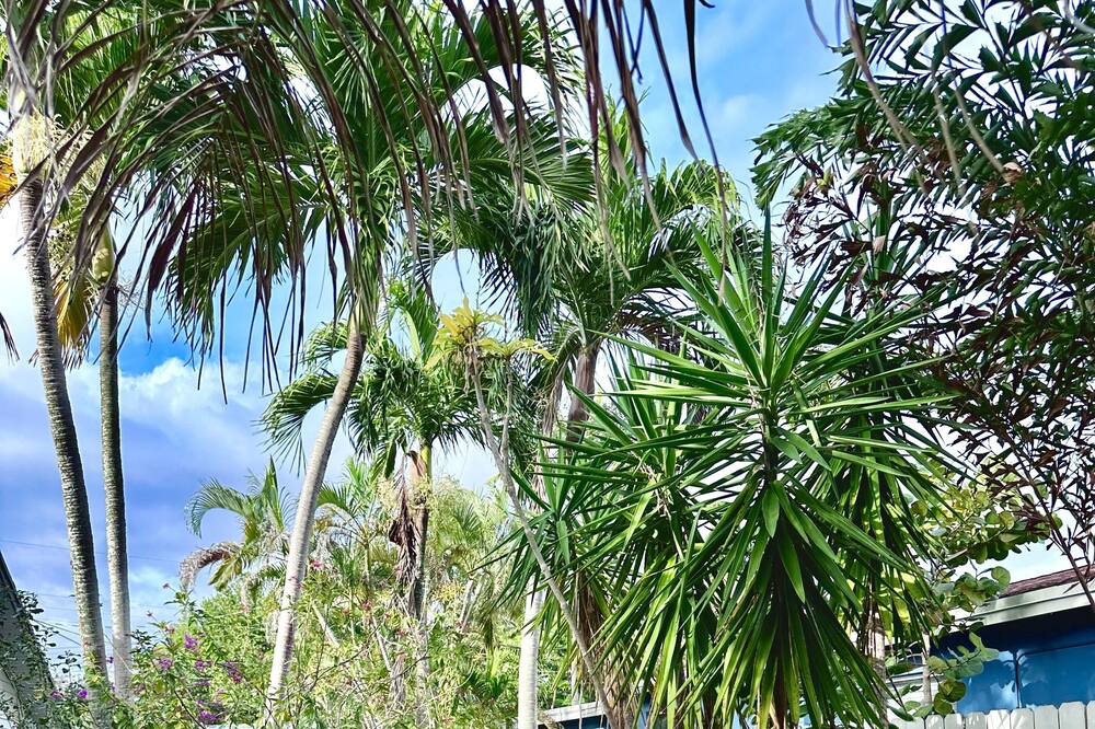 Photo of Outdoor in South Corals