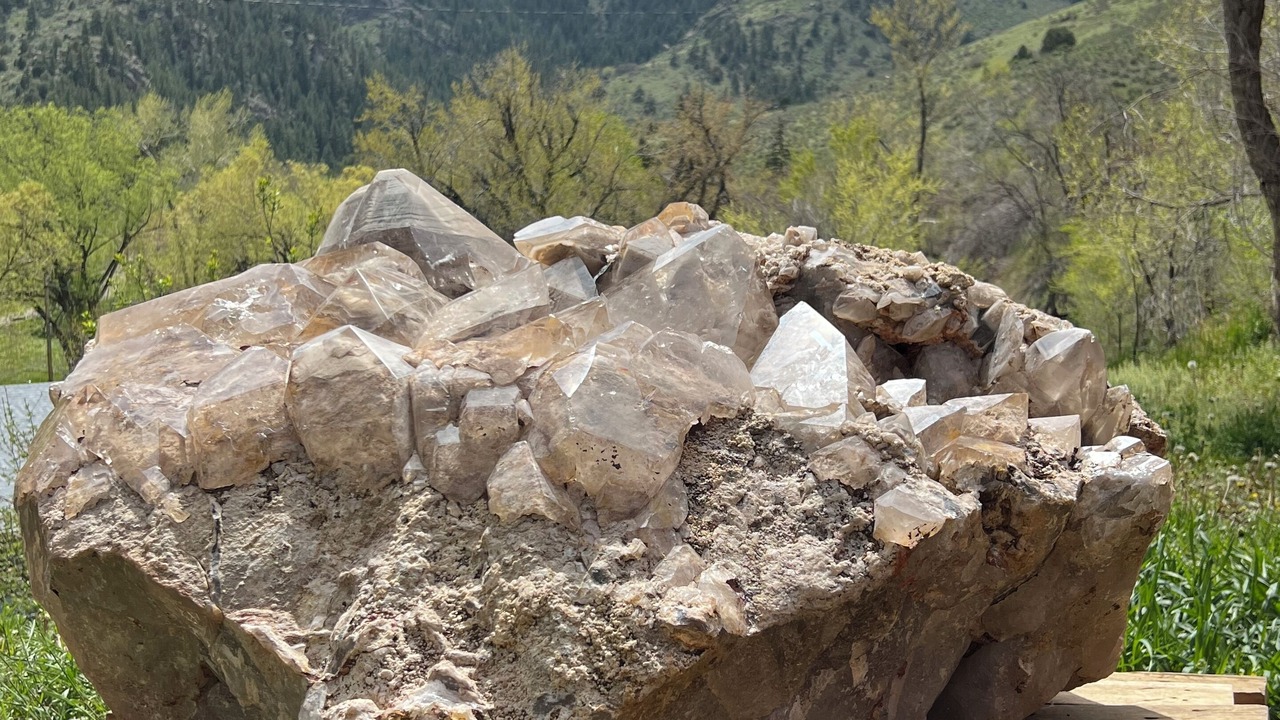 Photo of Outdoor in Idledale