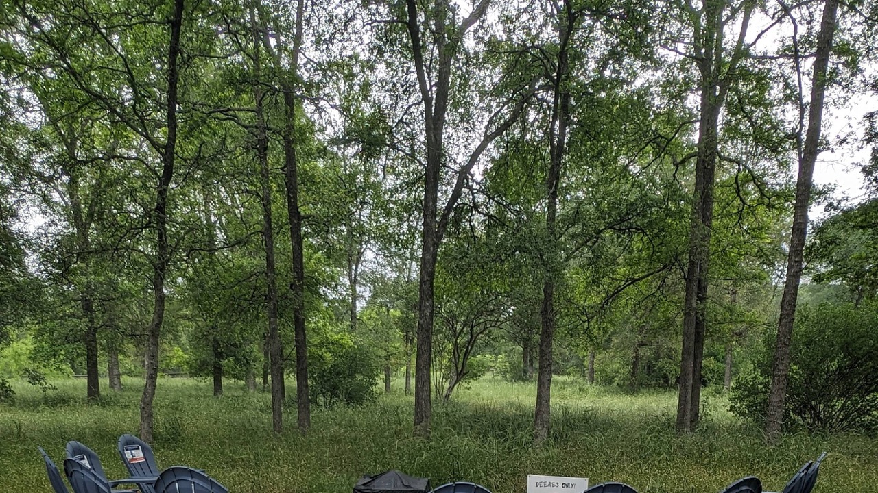 Photo of Outdoor in Cedar Creek