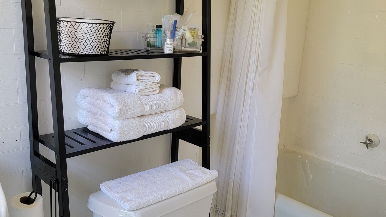 Photo of Bathroom in Downtown Toledo