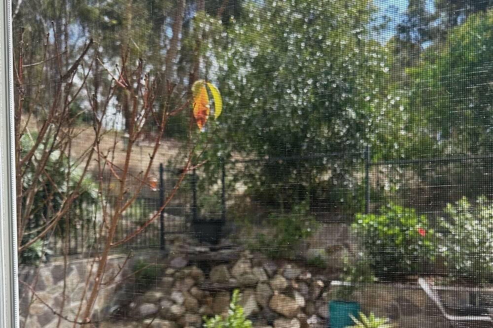 Photo of Outdoor in Olde Carlsbad