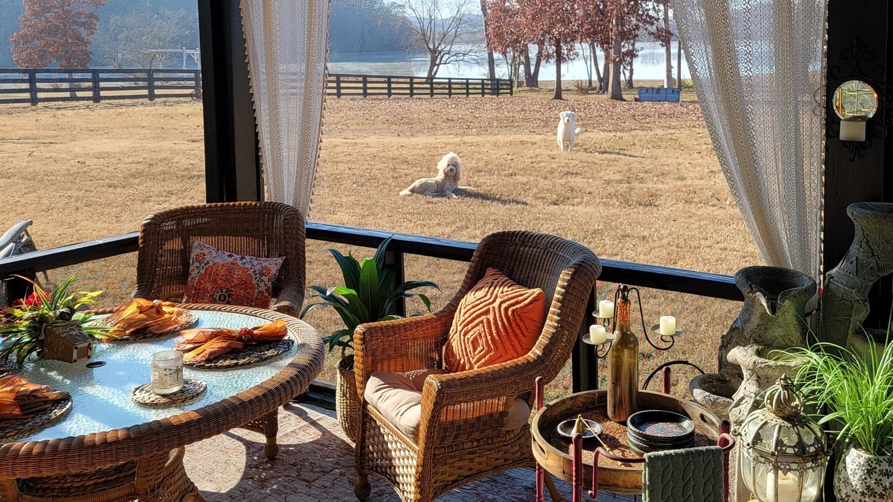 Photo of Outdoor in Kingston