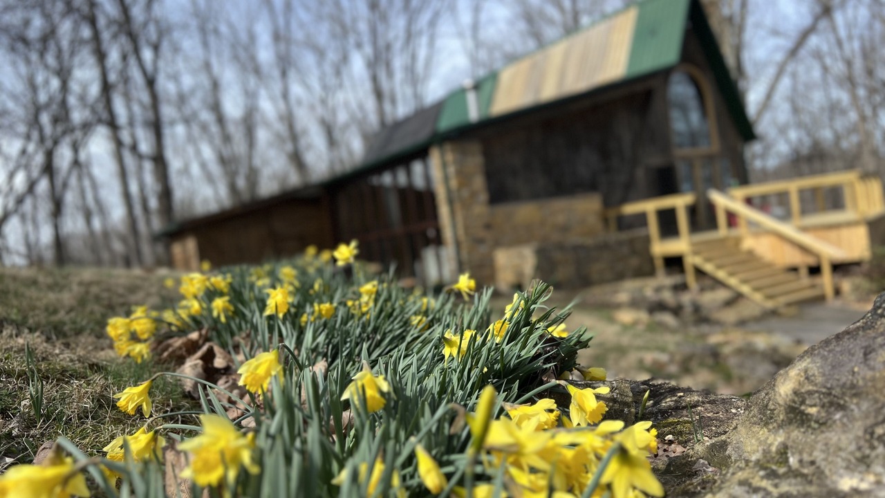 Photo of Outdoor in Whites Creek