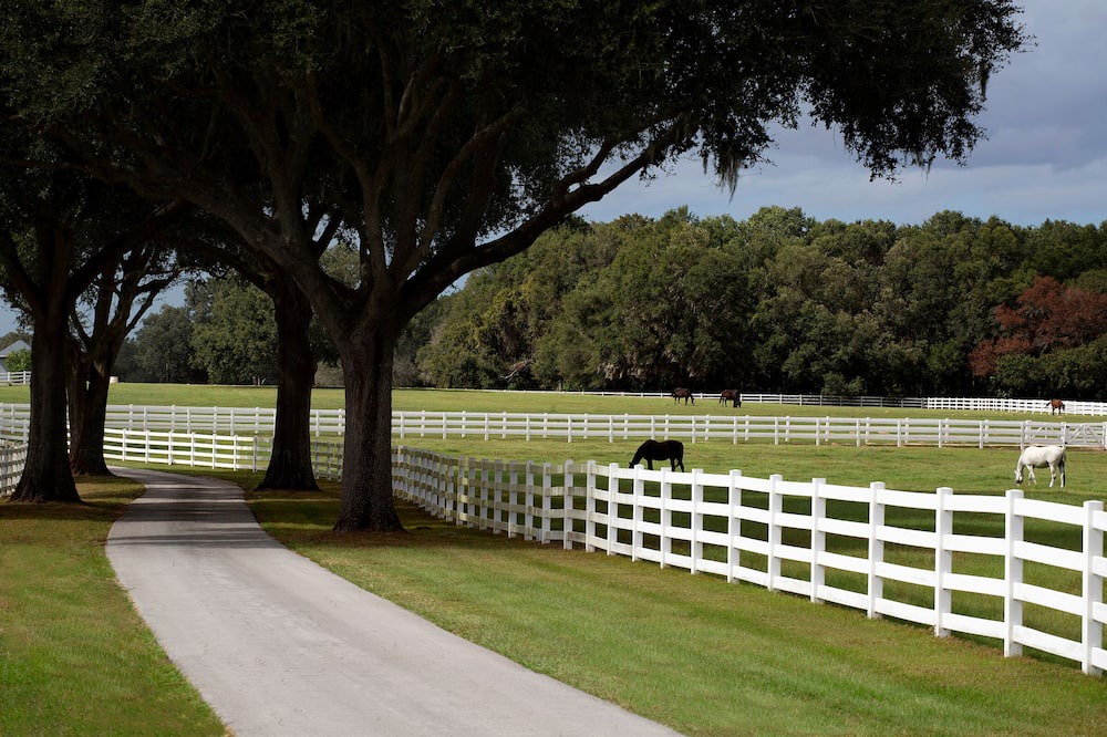 Photo of Others in Ocala
