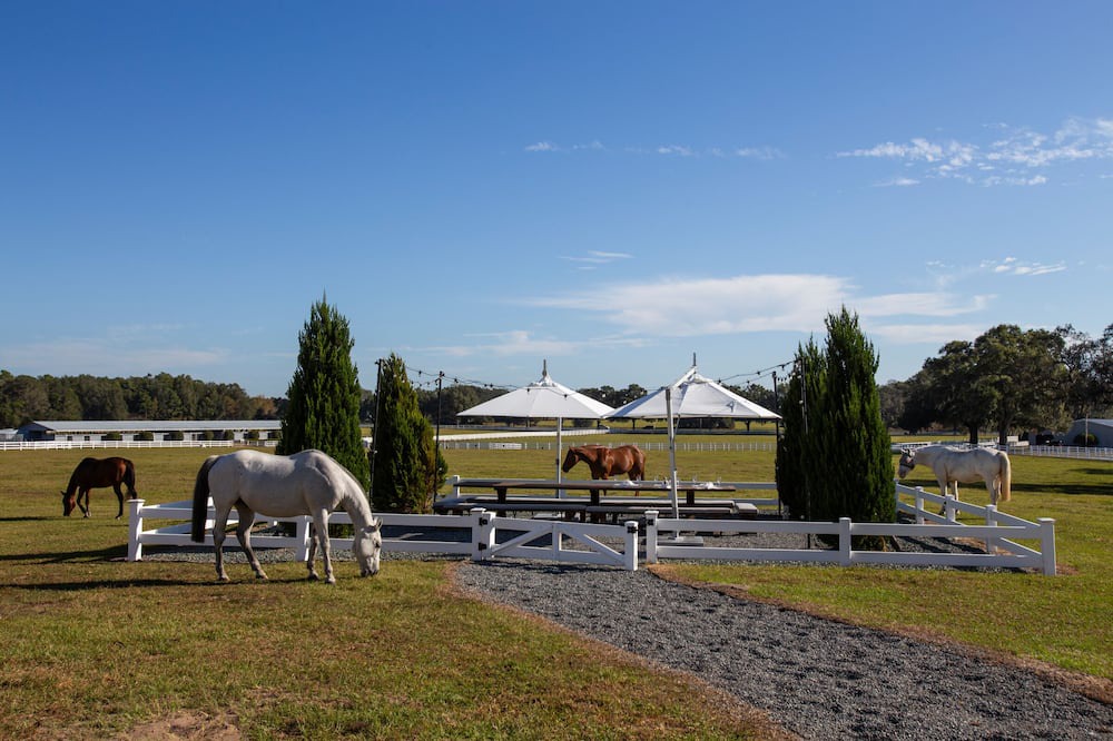 Photo of Others in Ocala