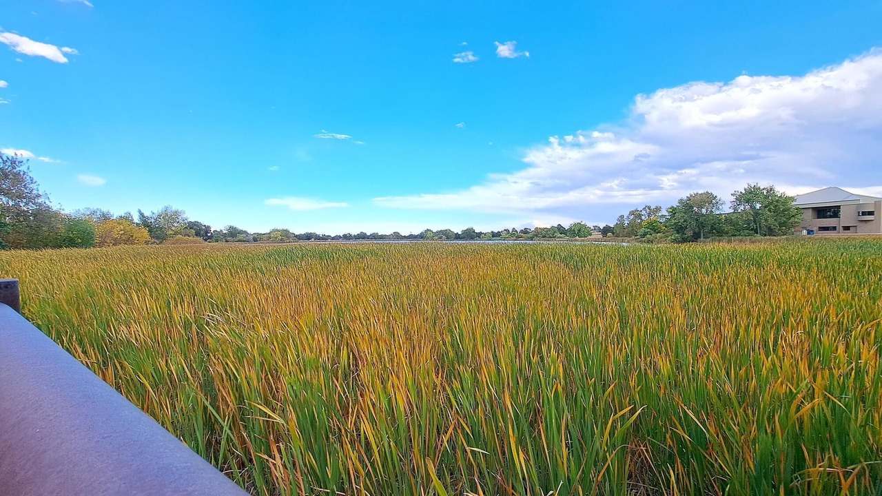 Photo of Outdoor in Lakewood