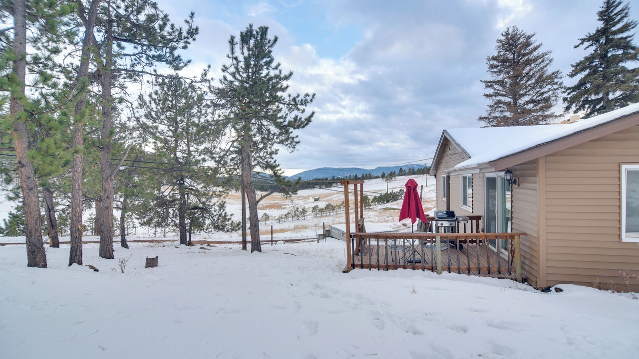 Photo of Others in Conifer