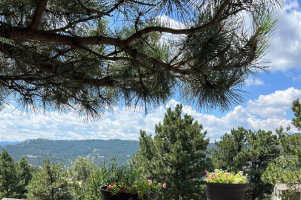 Photo of Outdoor in Golden