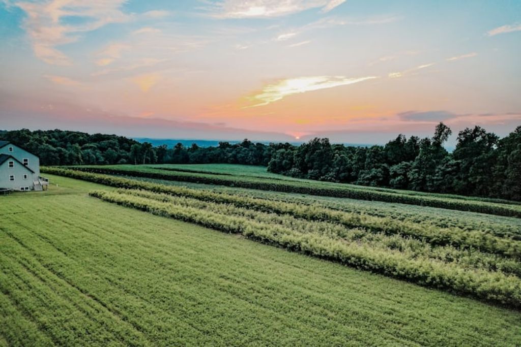 Photo of Outdoor in Strasburg
