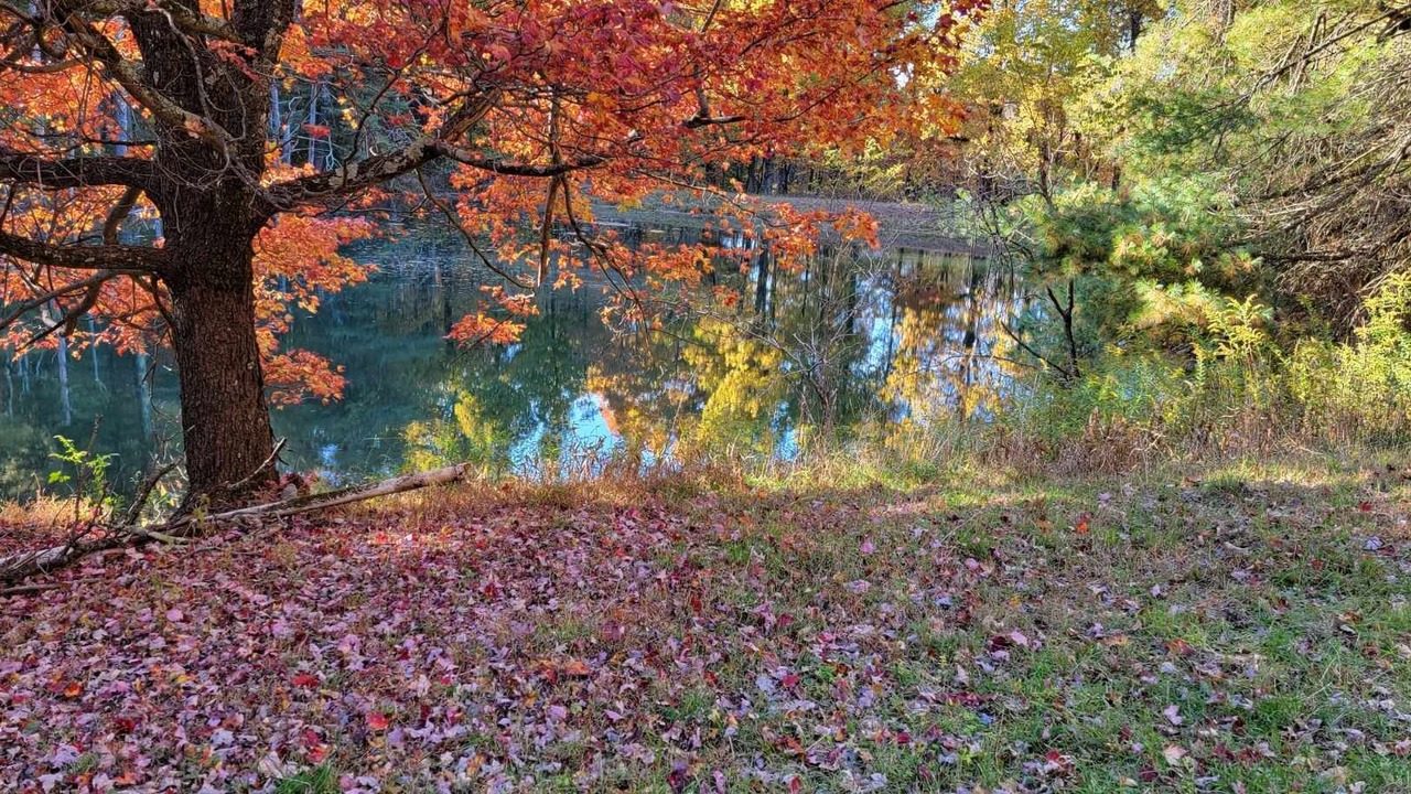 Photo of Outdoor in Burks Fork