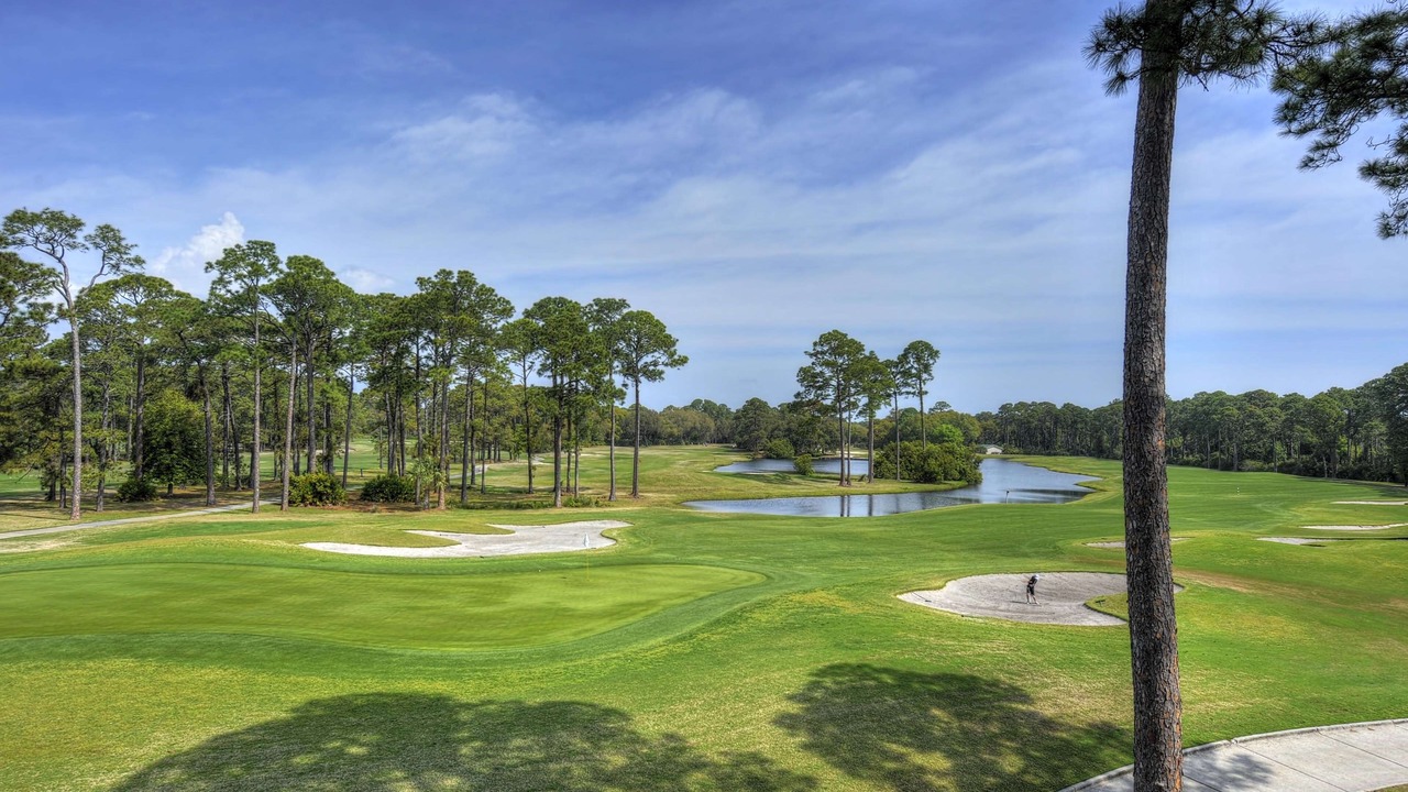 Photo of Others in Jekyll Island