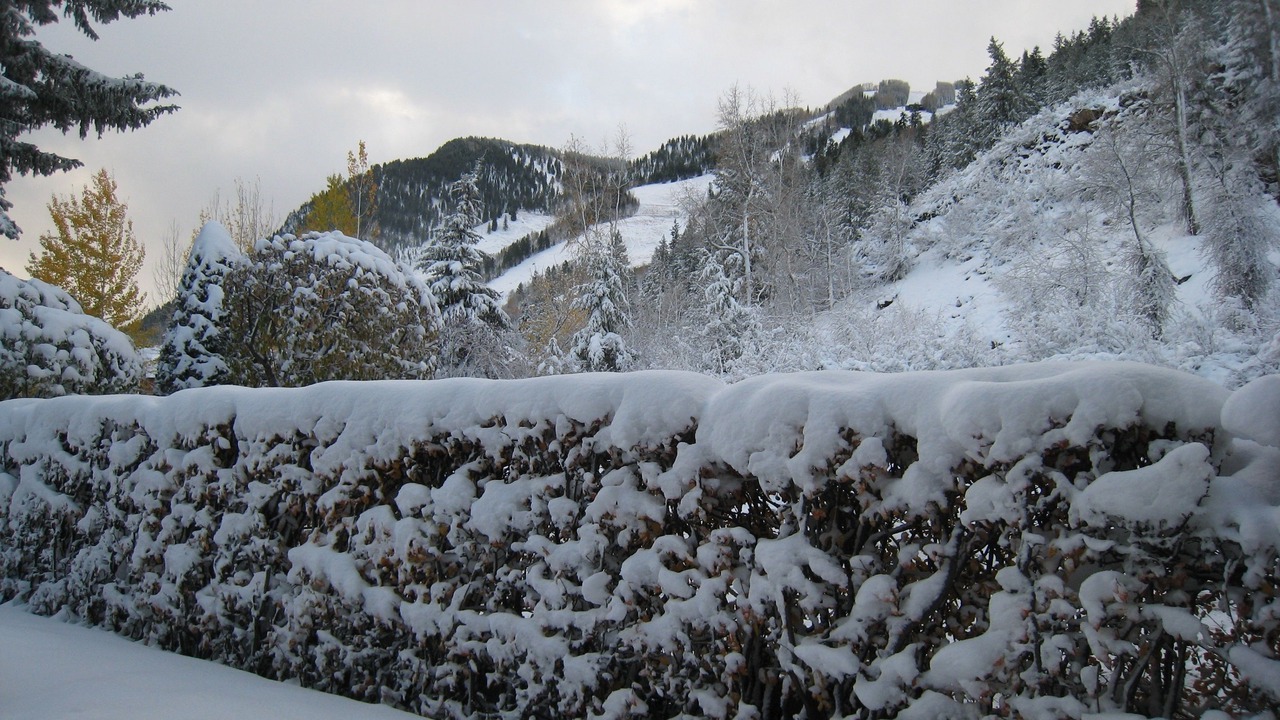 Photo of Outdoor in West End