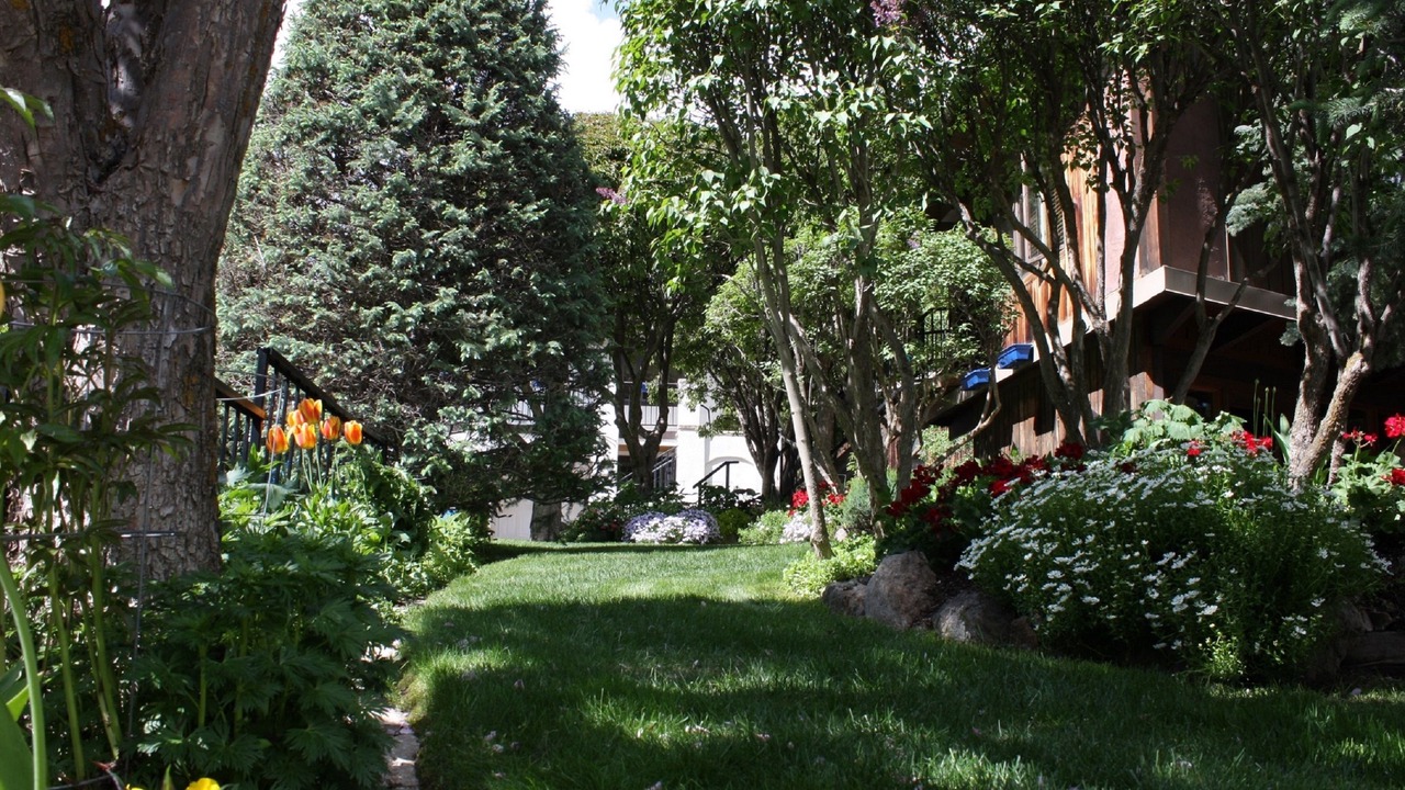 Photo of Outdoor in West End