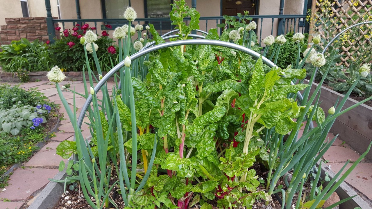 Photo of Outdoor in Five Points