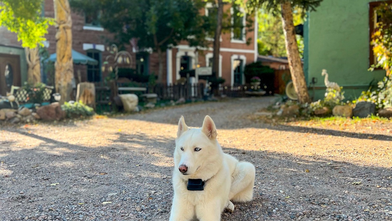 Photo of Outdoor in Morrison