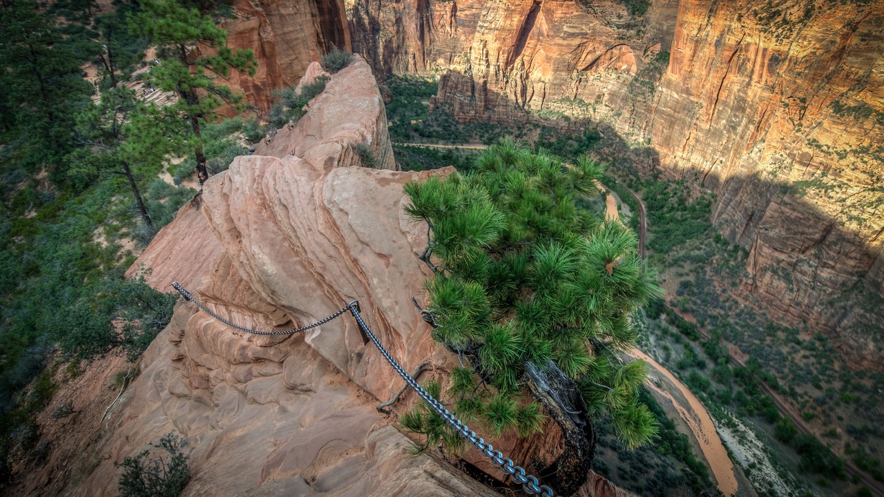 Photo of Others in Zion National Park South Entrance