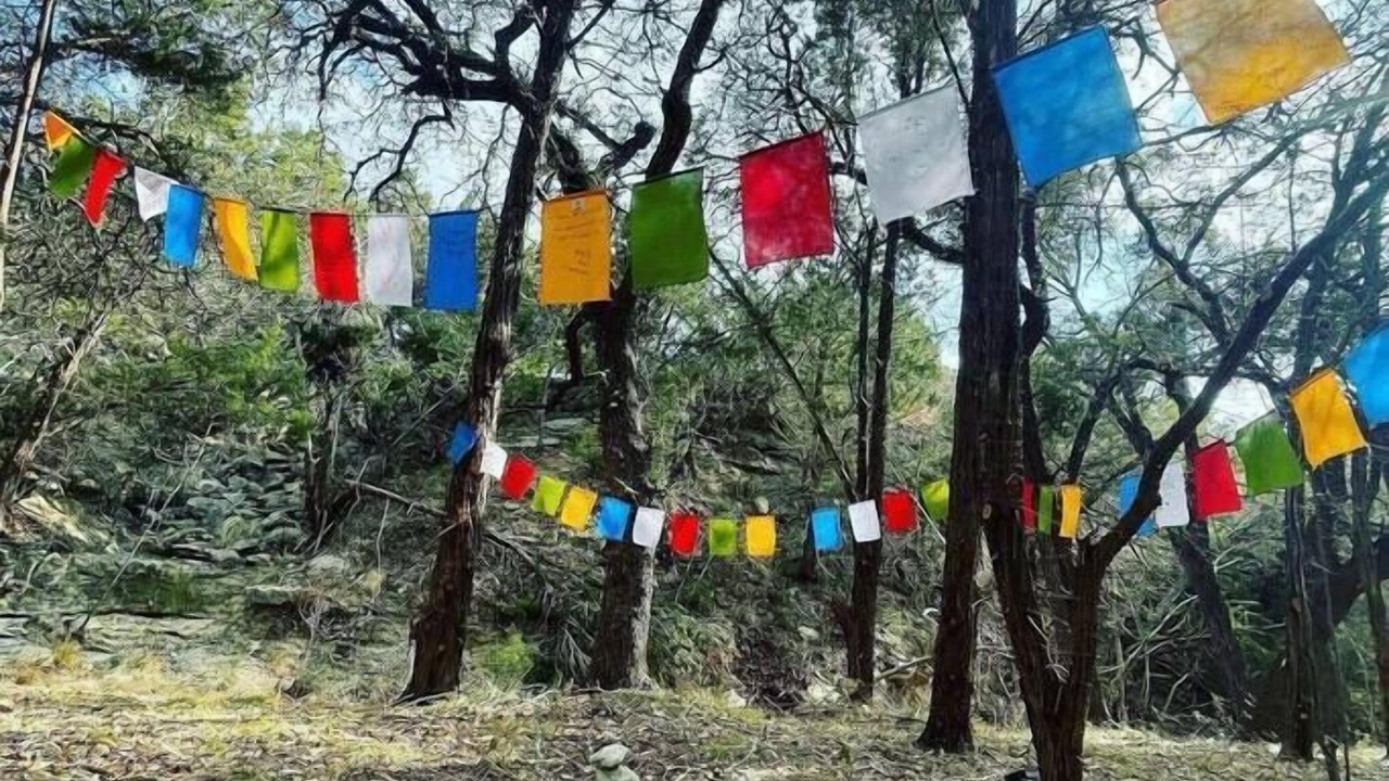 Photo of Others in Dripping Springs