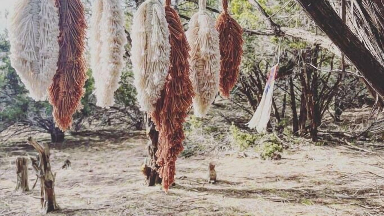 Photo of Outdoor in Dripping Springs