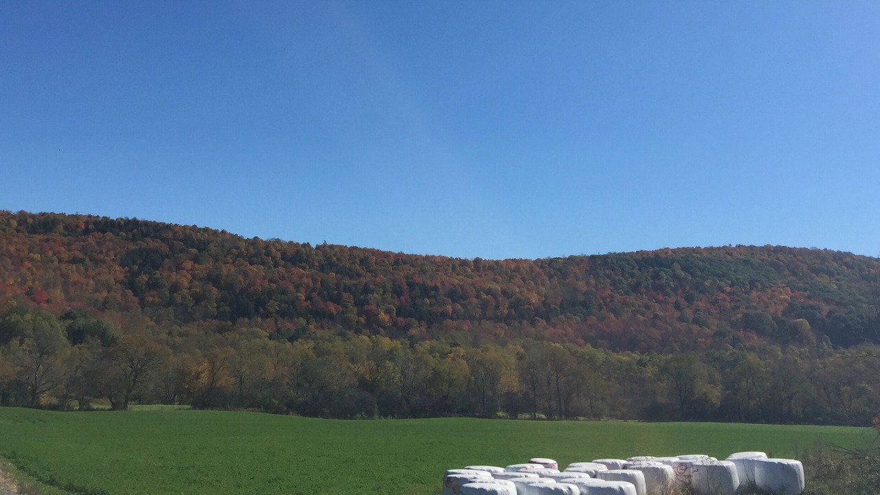 Photo of Outdoor in Hartwick