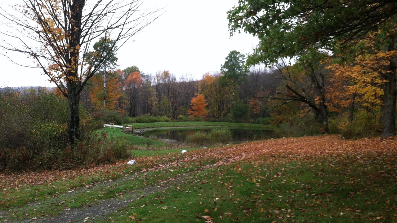 Photo of Others in Hartwick