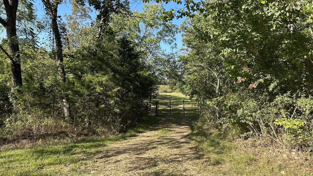 Photo of Outdoor in Elk Creek