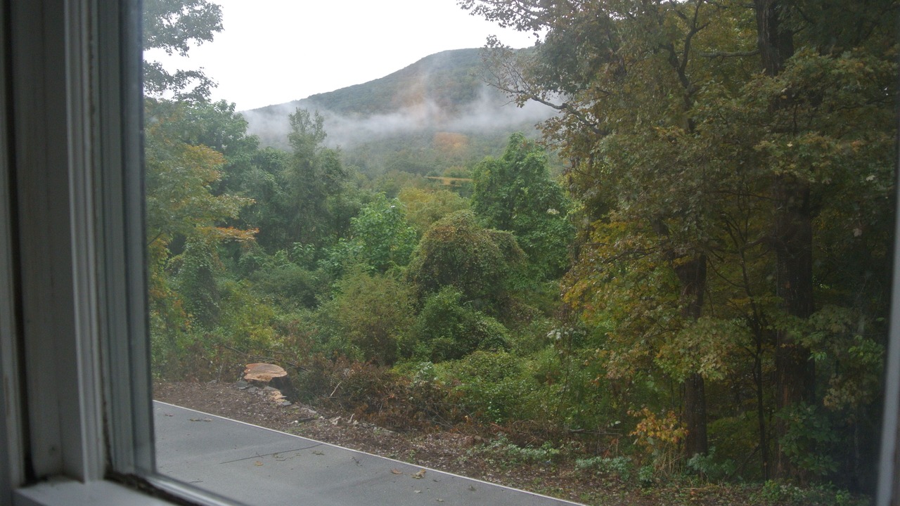 Photo of Others in Mount Tremper