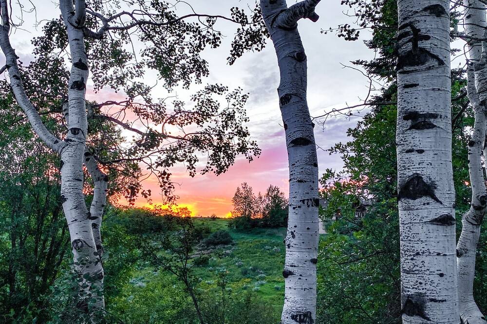 Photo of Outdoor in Oak Creek