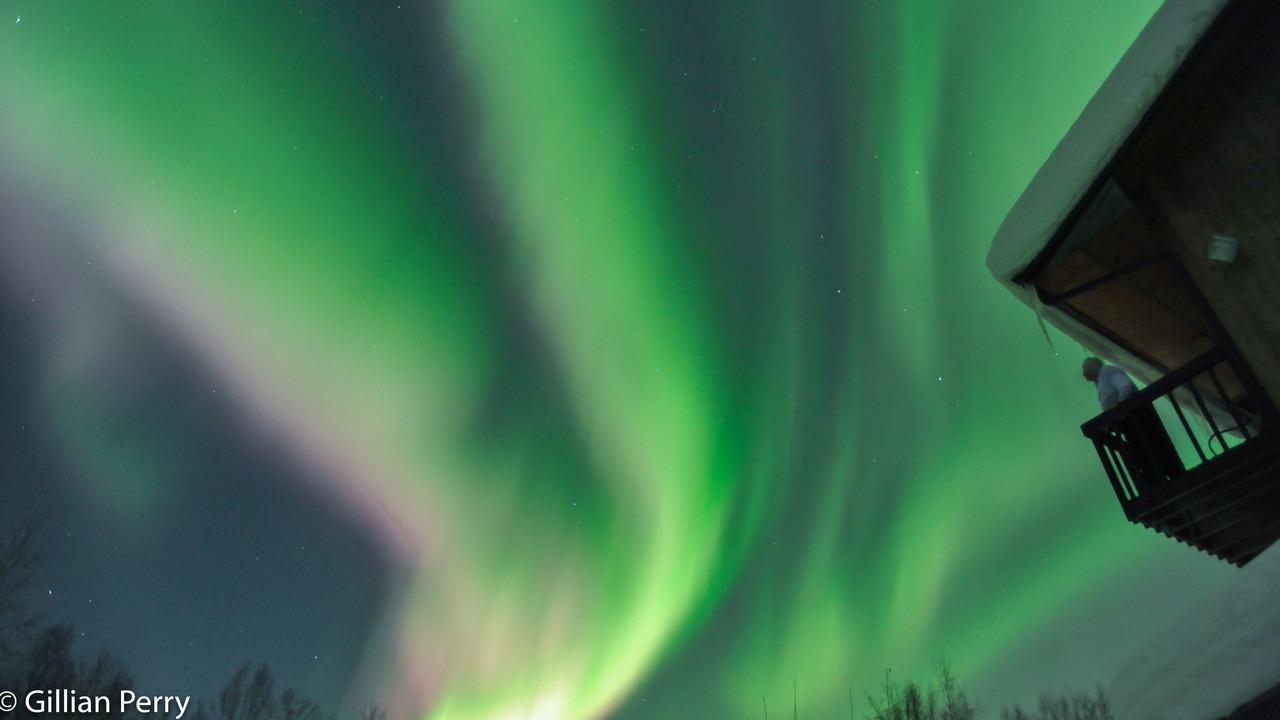 Photo of Others in Fairbanks
