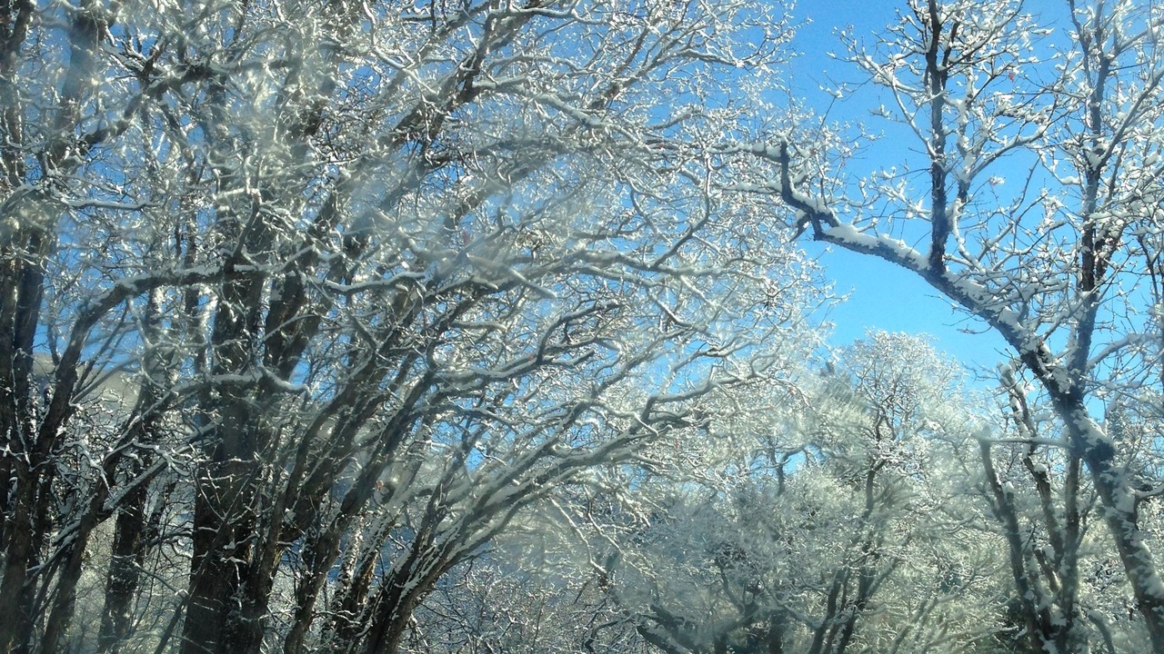 Photo of Outdoor in Sundance