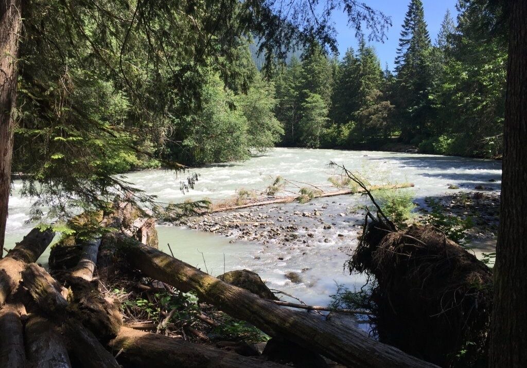 Photo of Others in Glacier