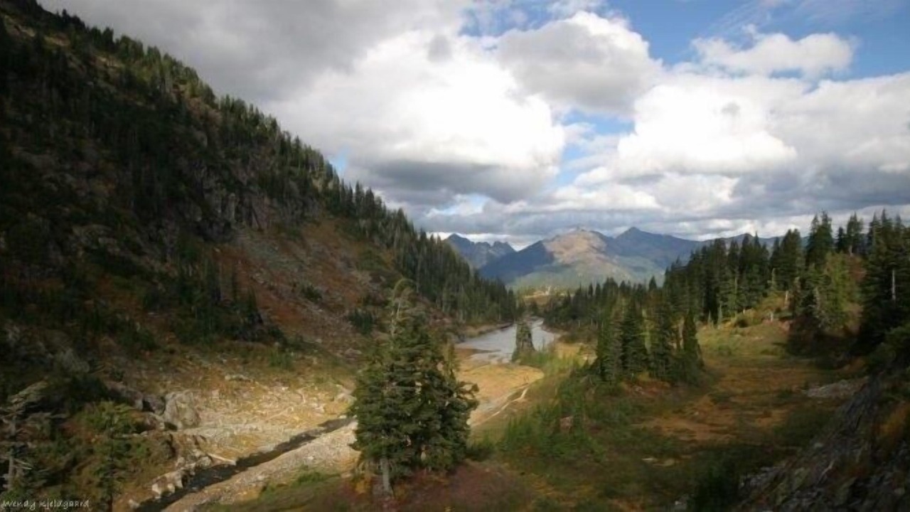 Photo of Others in Glacier