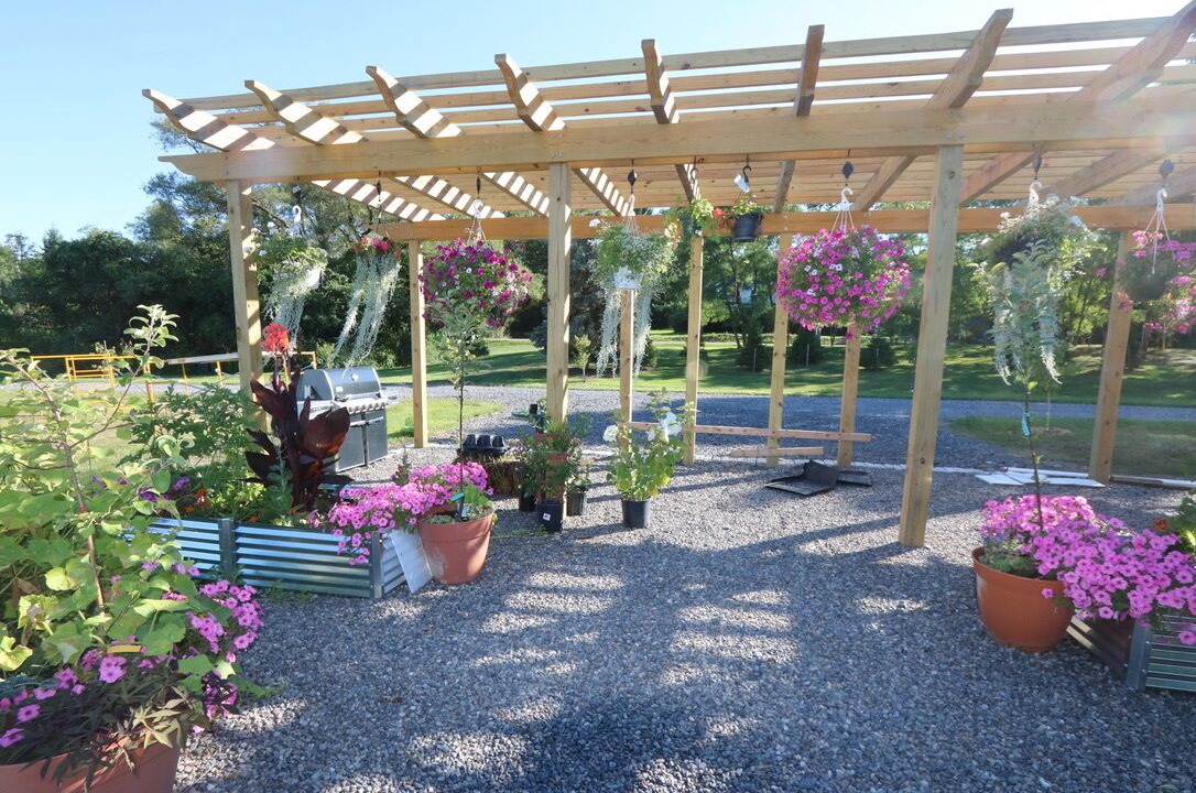 Photo of Outdoor in Skaneateles