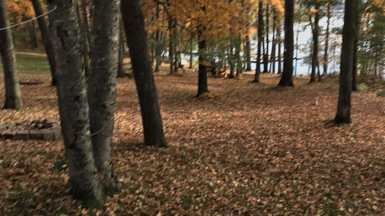 Photo of Others in Iron River