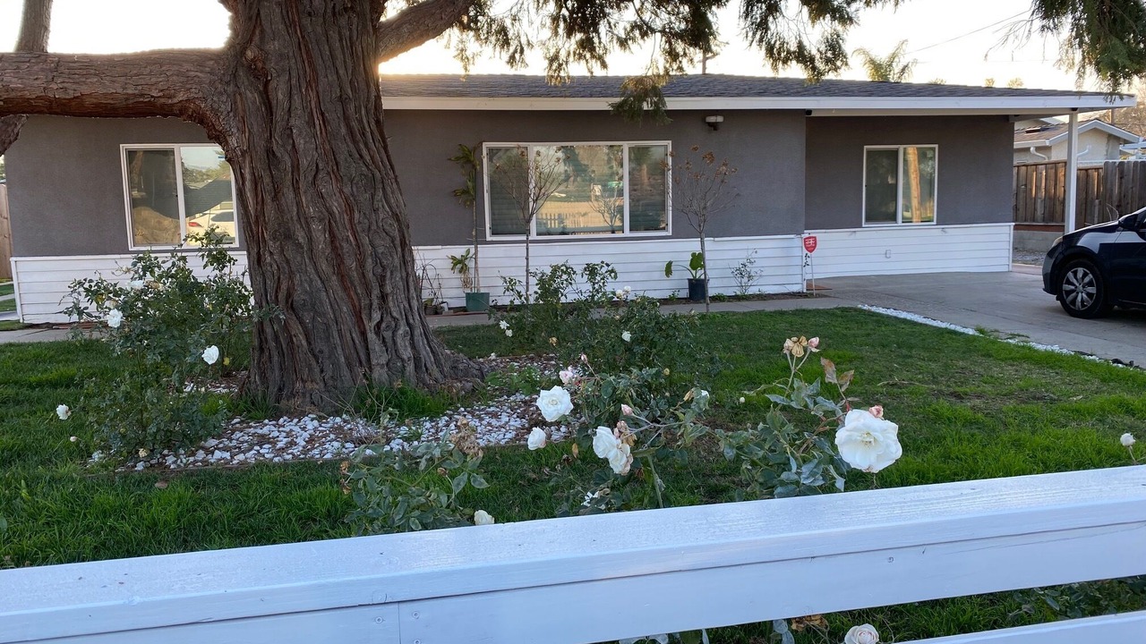 Photo of Outdoor in South San Jose