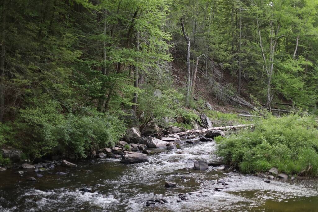 Photo of Others in Narrowsburg