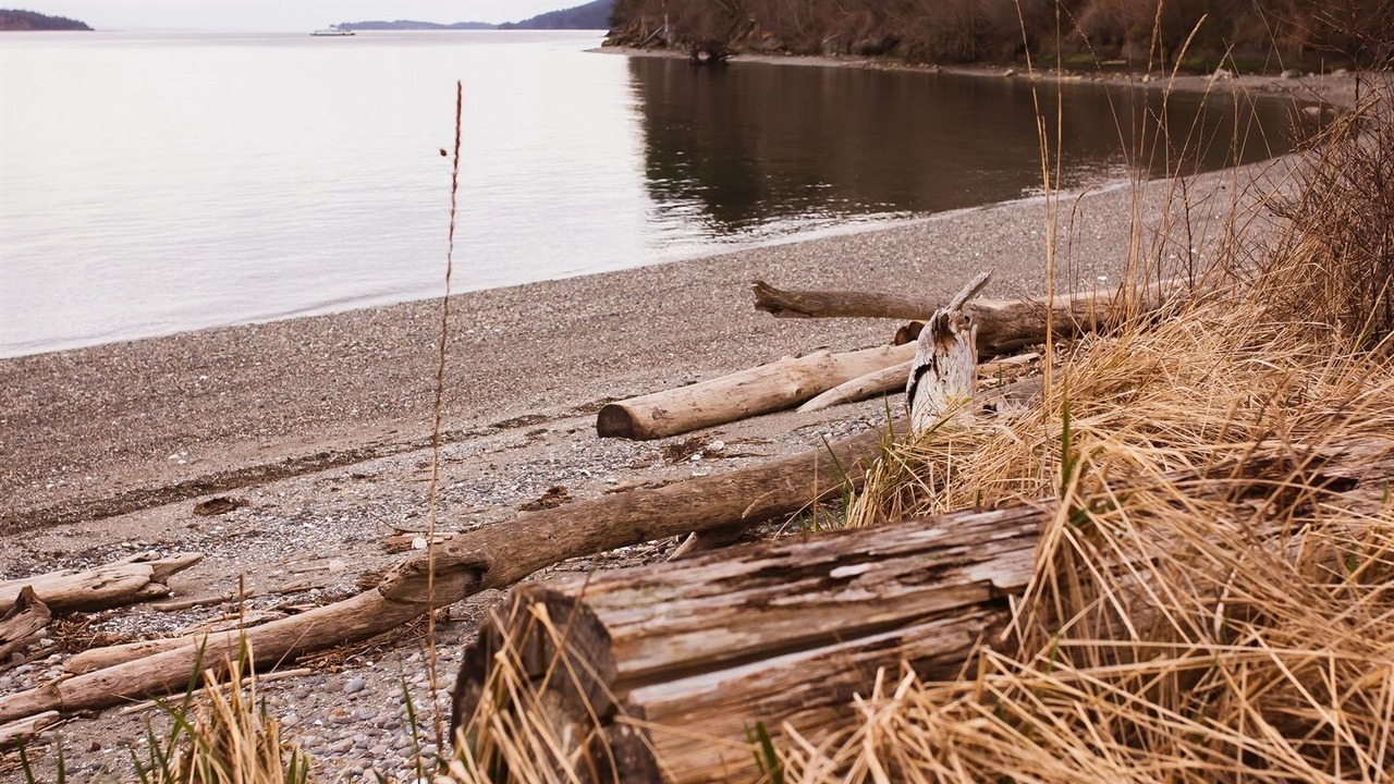 Photo of Others in Lummi Island