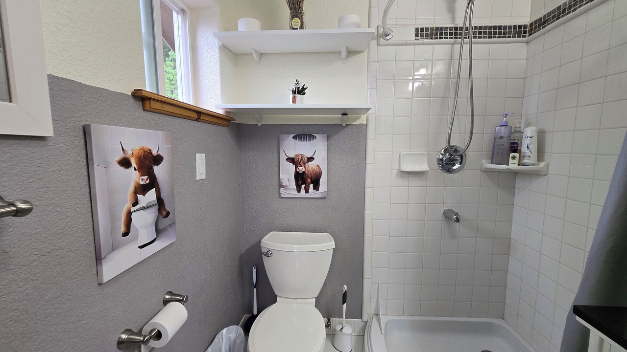 Photo of Bathroom in Shadow Mountain