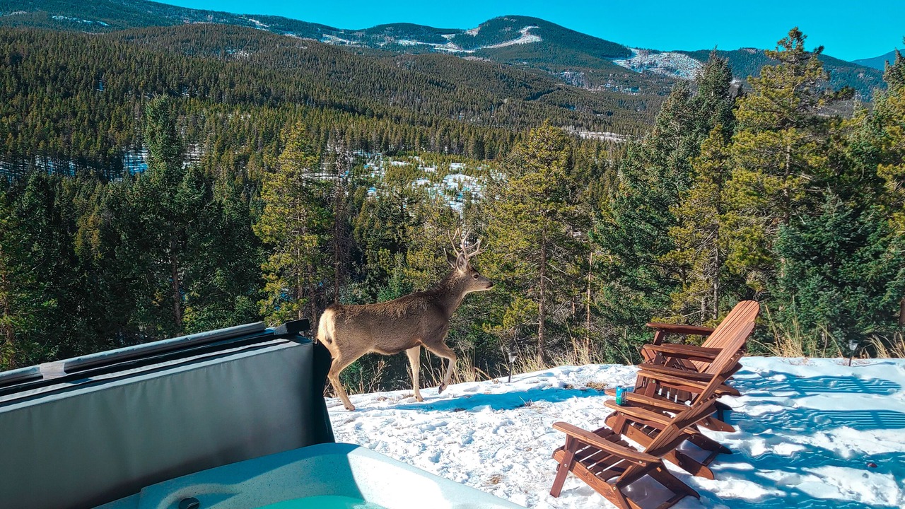 Photo of Outdoor in Shadow Mountain