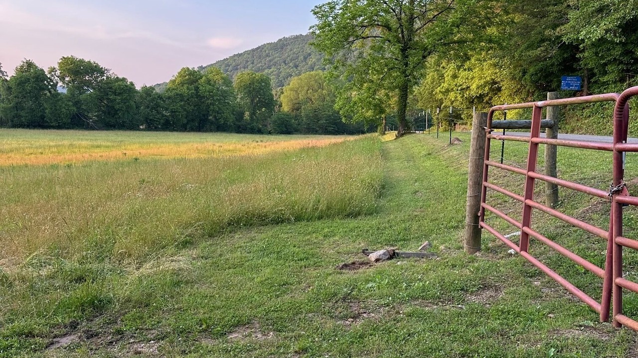 Photo of Others in Tellico Plains