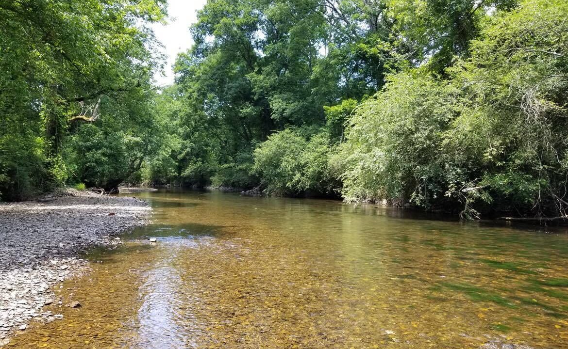 Photo of Outdoor in Tellico Plains
