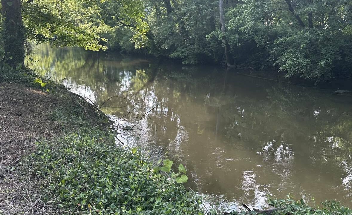 Photo of Others in Tellico Plains