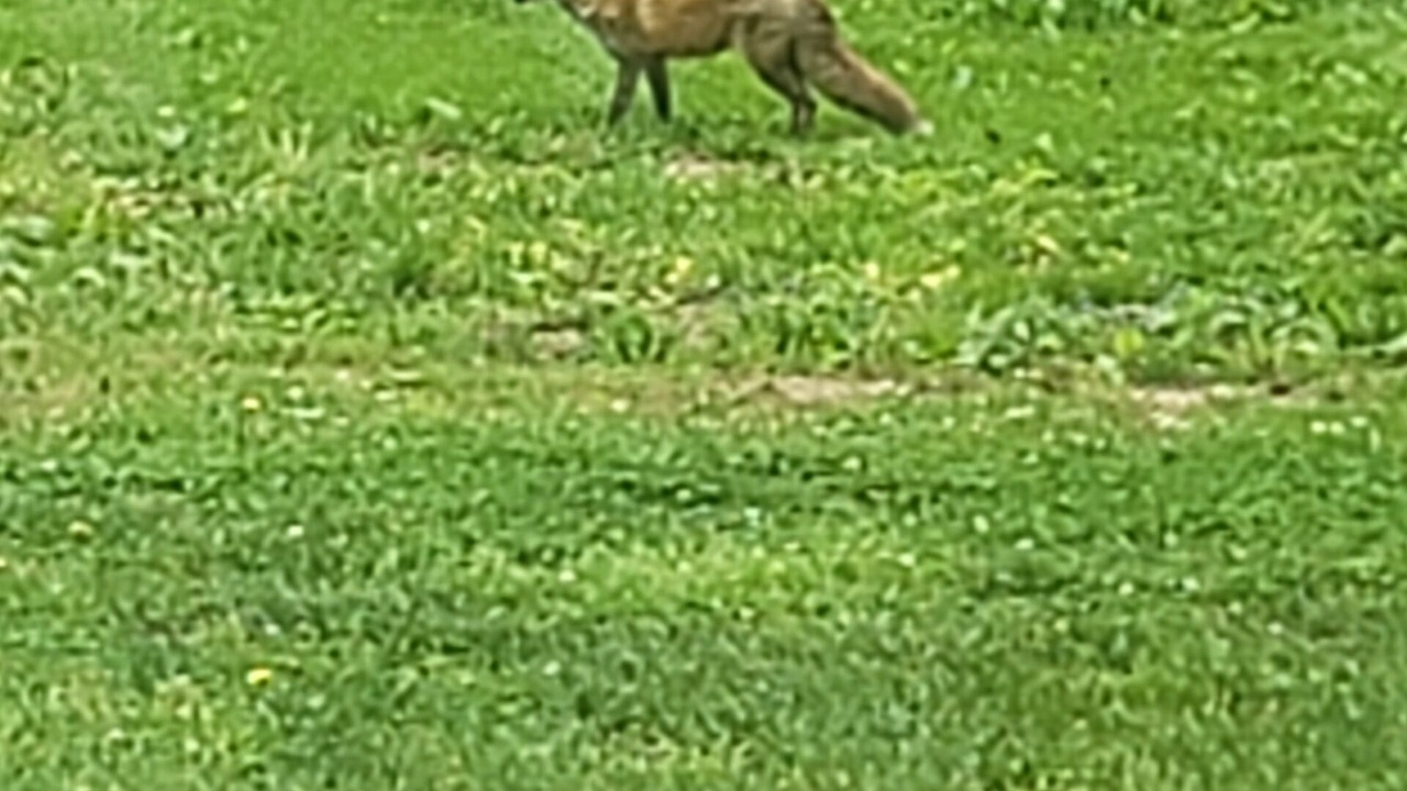 Photo of Others in Lansdale