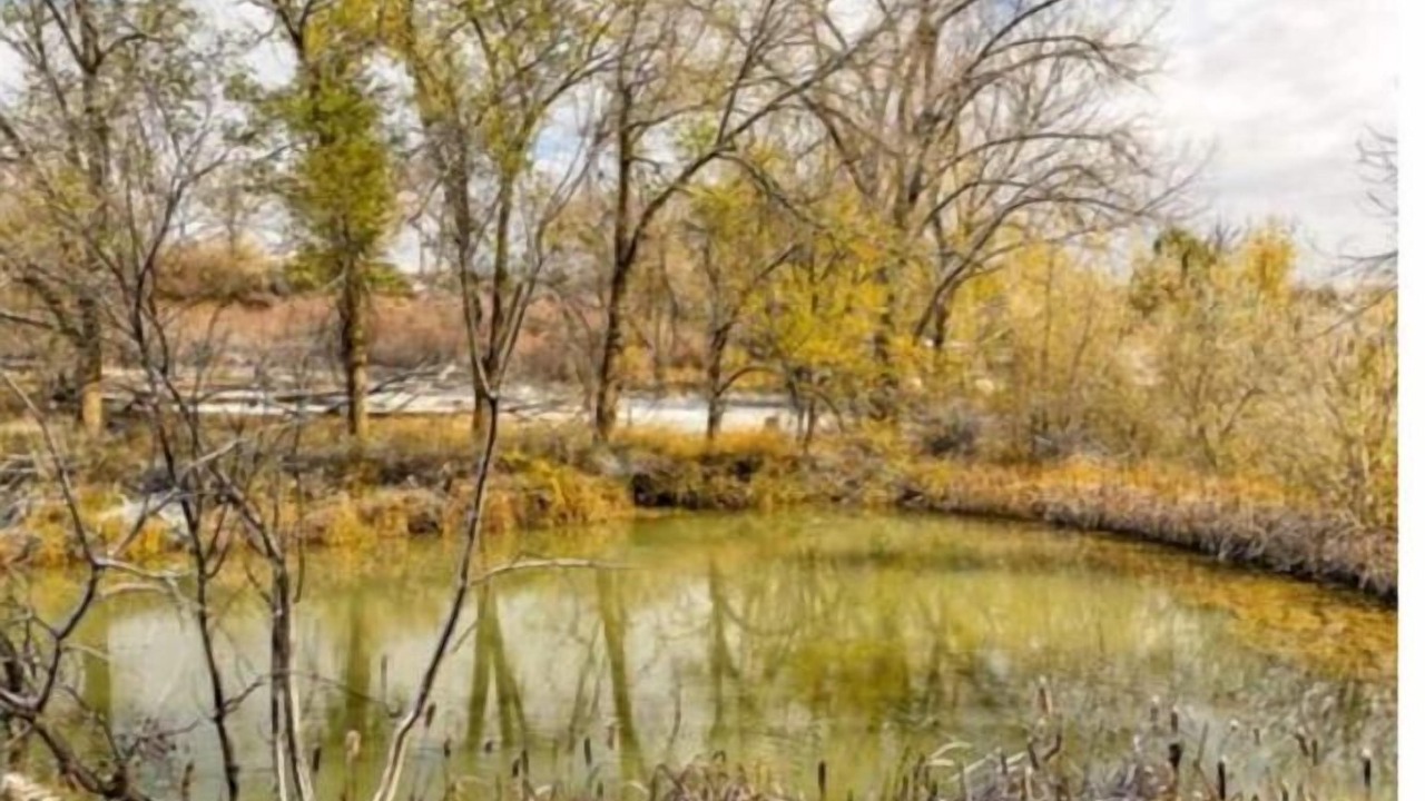 Photo of Others in Glenwood Springs