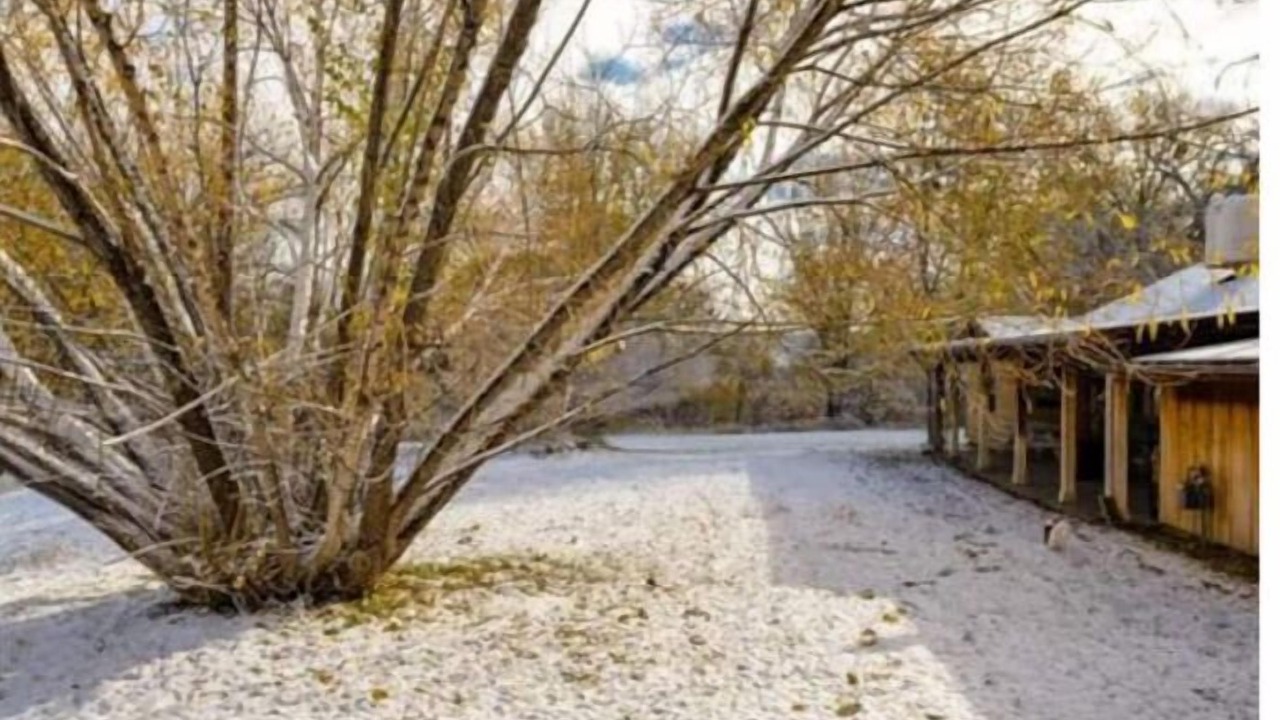 Photo of Others in Glenwood Springs
